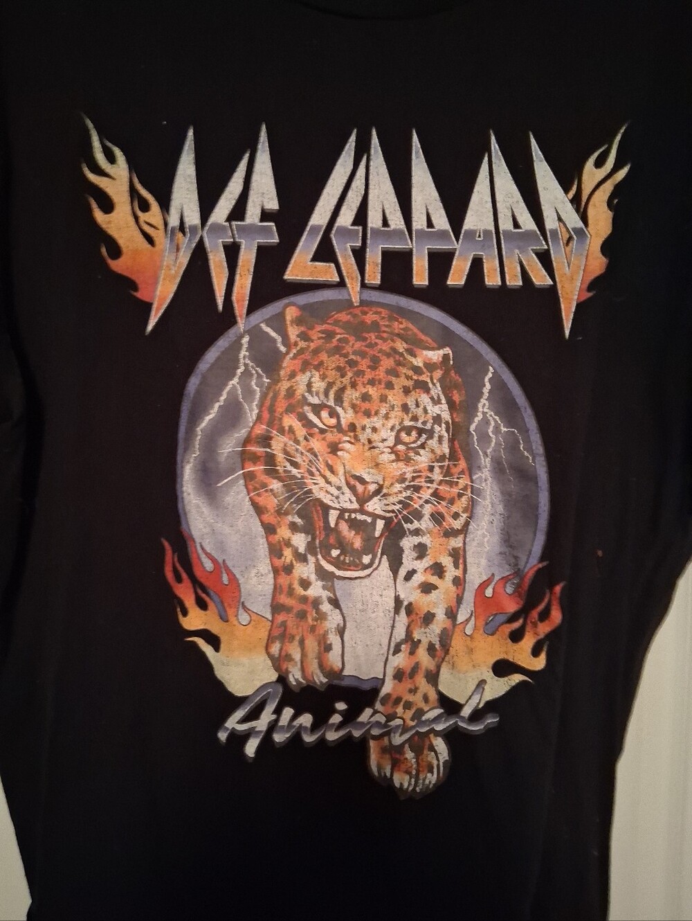 Def leppard shirt